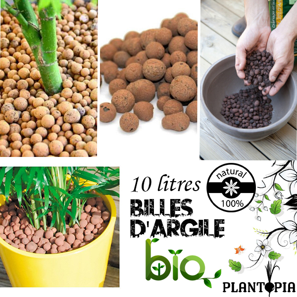 Billes d'argile - Paillis et finitions - Artiplantes