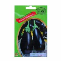 Graines "Aubergine Black Beauty"
