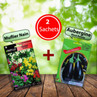 2 Sachets de Graines "Muflier Nain & Aubergine Black Beauty"