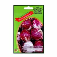 Graines "Choux Rouge à Tête Noire"
