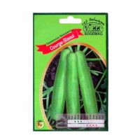 Graines "Courge Slaoui"