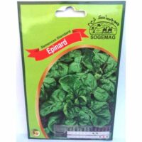 Graines "Epinards"