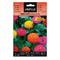 Graines "Zinnia Liliput Pom Pom Varié"