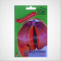 Graines "Courge Muscade"
