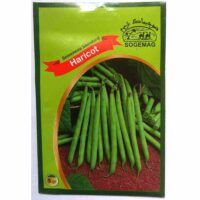 Graines "Haricots Vert"