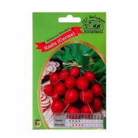 Graines "Radis Cerise"