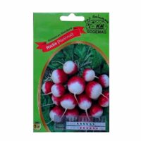Graines "Radis Marocain"