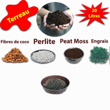 Commandez du perlite pour votre substrat de plantes