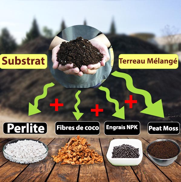 TERREAU Rempotage - Tourbe terreau et engrais