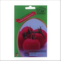 Graines "Tomate Campbell 33"