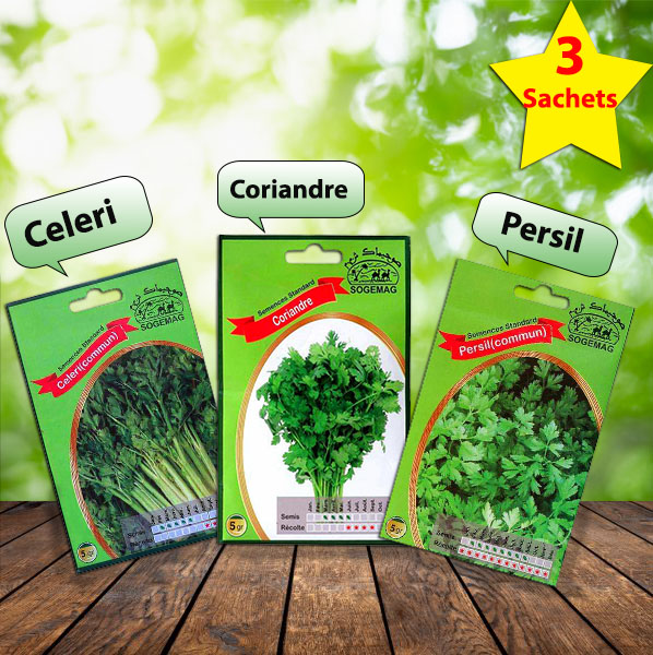 3 Sachets de Graines Coriandre + Cèleri + Persil - Plantopia