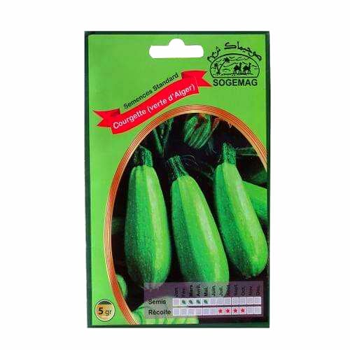 Courgette 'Petite Grise d'Alger' (Variété Ancienne) Graines