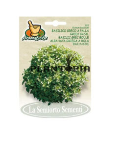 Graines plantopia maroc basilic fin vert / fine basil seeds morocco / بذور بازيليك ريحان المغرب
