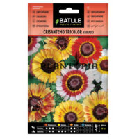 Graines " Chrysanthème Tricolor"