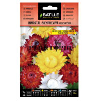 Graines "Immortelle Siempreviva"