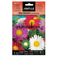 Graines "Reine-Marguerite"