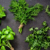 Aromatiques & Herbacées