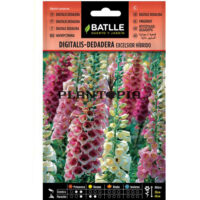 Graines "Digitale Excelsior"