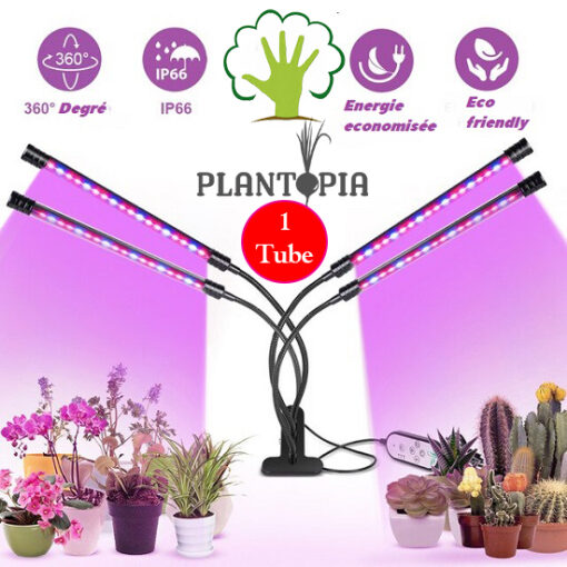 Tube LED pour éclairage et lumière horticole au Maroc. أنبوب للإضائة الداخلية للنباتات في المغرب