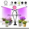 eclairage horticole Maroc Lumière de plantes Plantopia. أنبوب للإضائة الداخلية للنباتات في المغرب