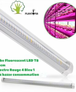 Lampe lumière horticole au Maroc LED T8 / مصباح للإضائة الداخلية النباتات في المغرب