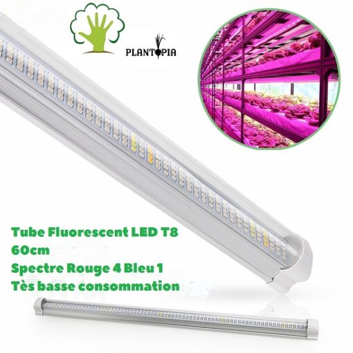 Lampe lumière horticole au Maroc LED T8 / مصباح للإضائة الداخلية النباتات في المغرب