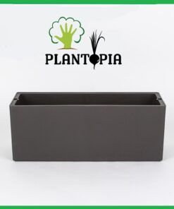 Pulvérisateur à pression 2L - Vert - Plantopia Maroc