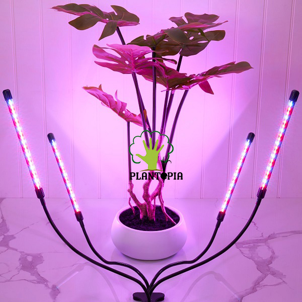 Eclairage horticole au Maroc. 1 Tube LED avec support - Plantopia Maroc