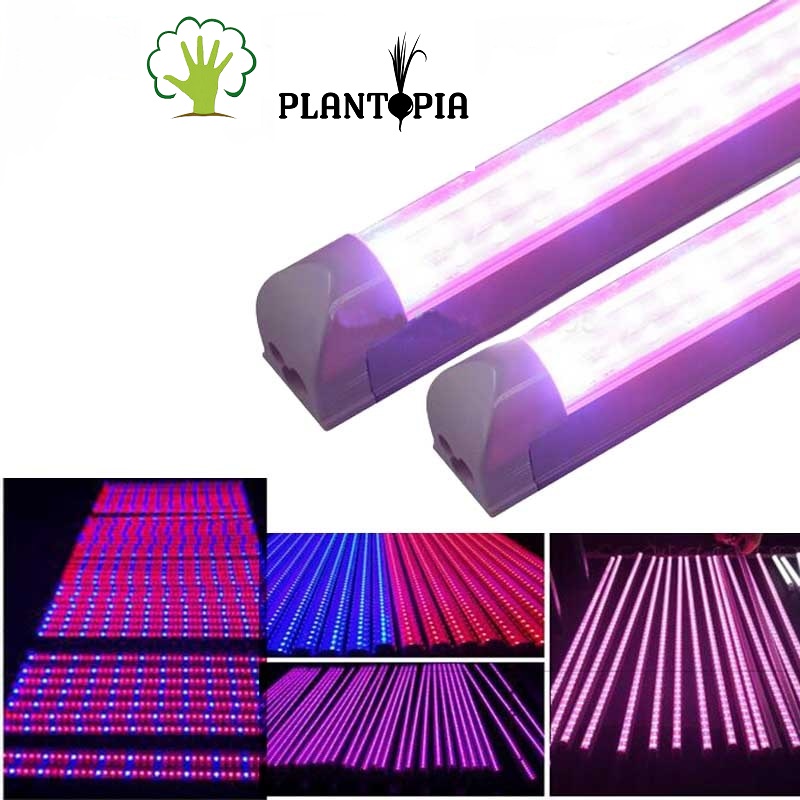 Eclairage horticole au Maroc. 1 Tube LED avec support - Plantopia Maroc