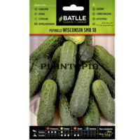 Graines "Cornichon Wisconsin SMR 58"