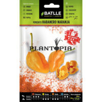graines piment habanero naranja orange Maroc - بذور فلفل هابانيرو برتقالي في المغرب - Pepper seeds supplier Morocco