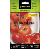 Graines "Tomate De Colgar"