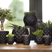 Pot élégant moderne fleur plantes intérieur extérieur Maroc / محابق و أصص نباتات المغرب