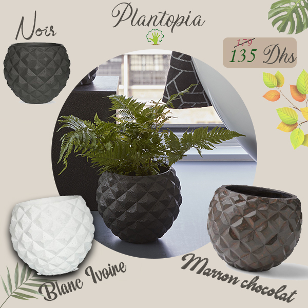 Pots contemporains pour vos fleurs & plantes au Maroc - Plantopia Maroc