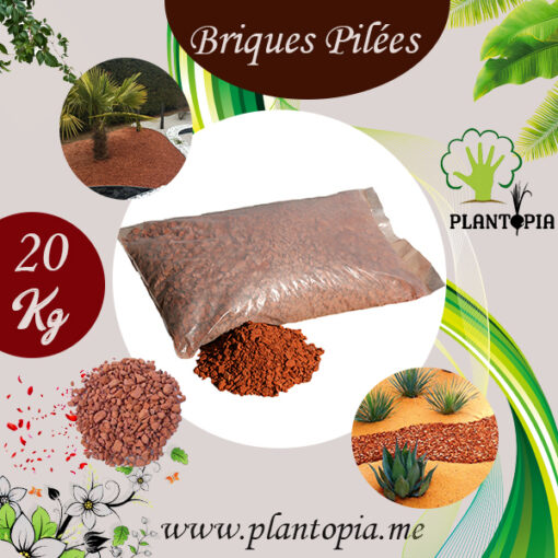 Briques pillées au Maroc / Paillage Maroc / طوب احمر مكسر في المغرب للنباتات