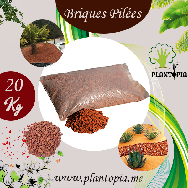 Billes d'argile naturelles pour paillage et drainage - Plantopia Maroc