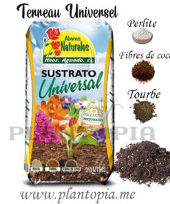 Terreau plantes Maroc / substrat maroc / tourbe maroc / تربة لزراعة جميع النباتات في المغرب