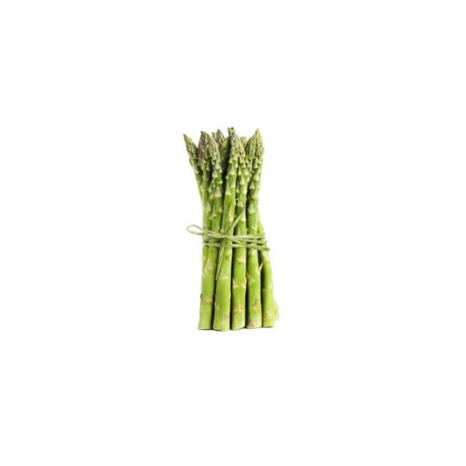 graines asperges maroc / semences asperge maroc / graines bio maroc / semences bio maroc / asperge maroc / asperge bio / بذور الهليون في المغرب