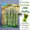 graines asperges maroc / semences asperge maroc / graines bio maroc / semences bio maroc / asperge maroc / asperge bio / بذور الهليون في المغرب