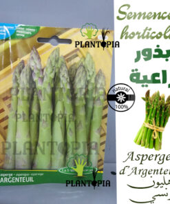 graines asperges maroc / semences asperge maroc / graines bio maroc / semences bio maroc / asperge maroc / asperge bio / بذور الهليون في المغرب