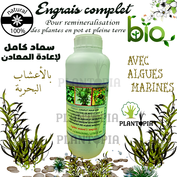 Engrais liquide naturel pour Cactés et Succulentes