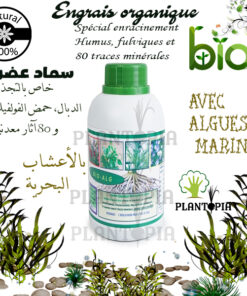 Hormone d'enracinement et bouturage Bio - Plantopia Maroc