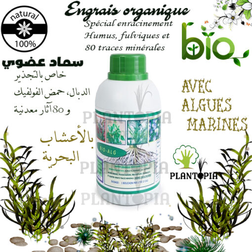 Enracineur Maroc / Hormone enracinement Maroc / Avec alques marines Maroc / هرمون التجذير عضوي في المغرب