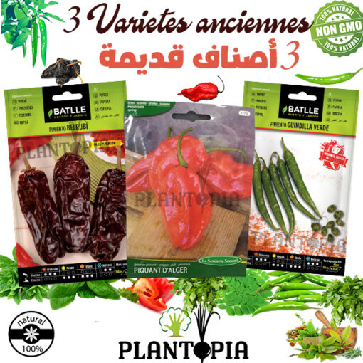 Pack graines maroc / semences bio au Maroc / variétés anciennes maroc / variétés poivron / variétés piment / pack maroc / jardinerie graines maroc / plantopia Maroc / بذور فلفل مغرب / شراء بذور المغرب