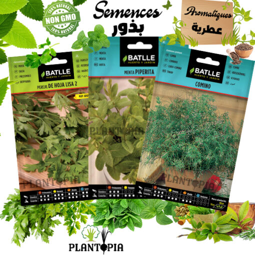 pack de graines aromatiques maroc / herbes aromatiques maroc / graines jumia / graines plantopia / graines menthe maroc / huiles essentielles maroc / بذور أصناف أعشاب عطرية في المغرب