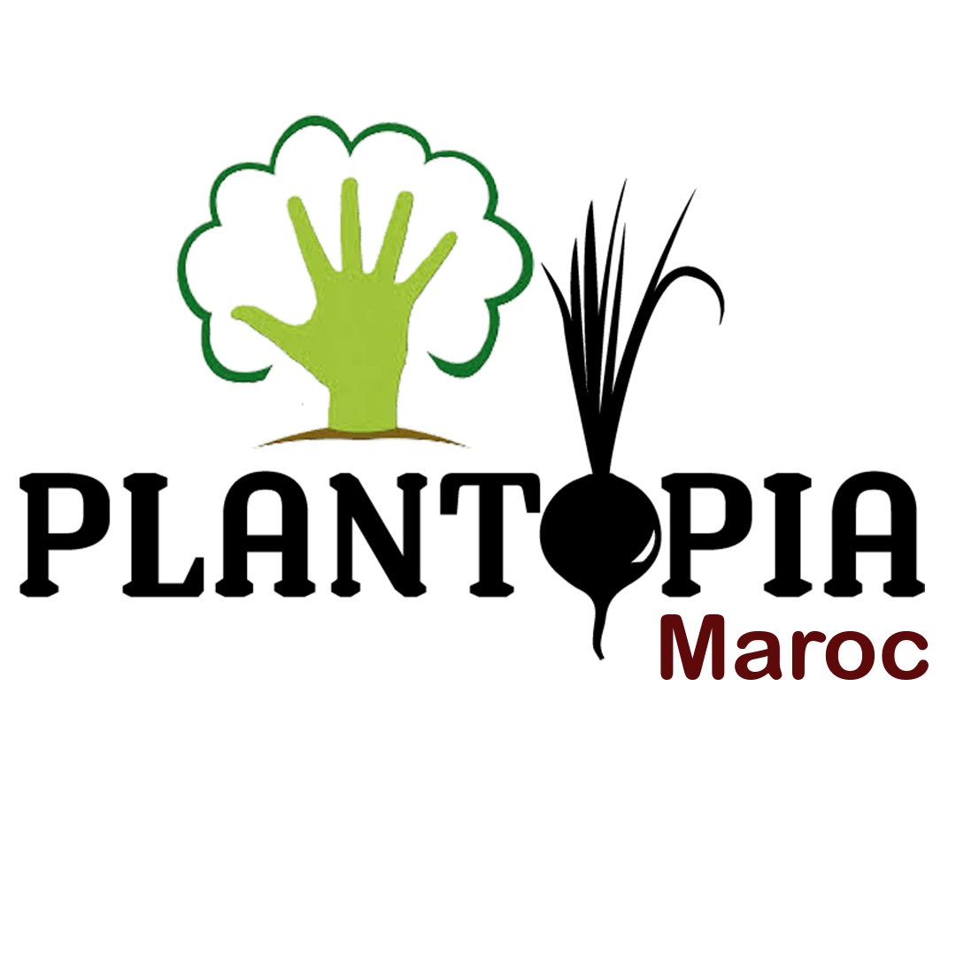 Tourbe UNIVERSEL eco-friendly Maroc 20L - Plantopia Maroc