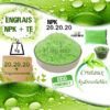 Engrais NPK 20 20 20 MAroc / engrais foliaire maroc / fertigation maroc / engrais soluble maroc / prix NPK Maroc / سماد العشرينيات في المغرب / ثمن سماد 20 20 20 في المغرب