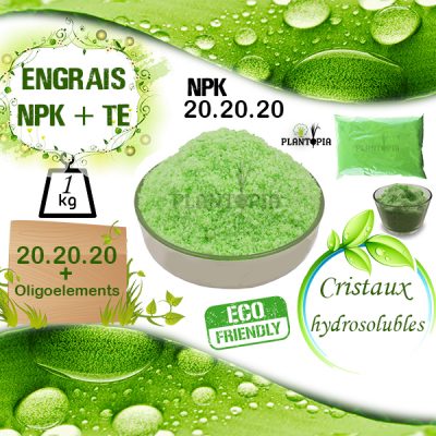 Engrais NPK 20 20 20 MAroc / engrais foliaire maroc / fertigation maroc / engrais soluble maroc / prix NPK Maroc / سماد العشرينيات في المغرب / ثمن سماد 20 20 20 في المغرب