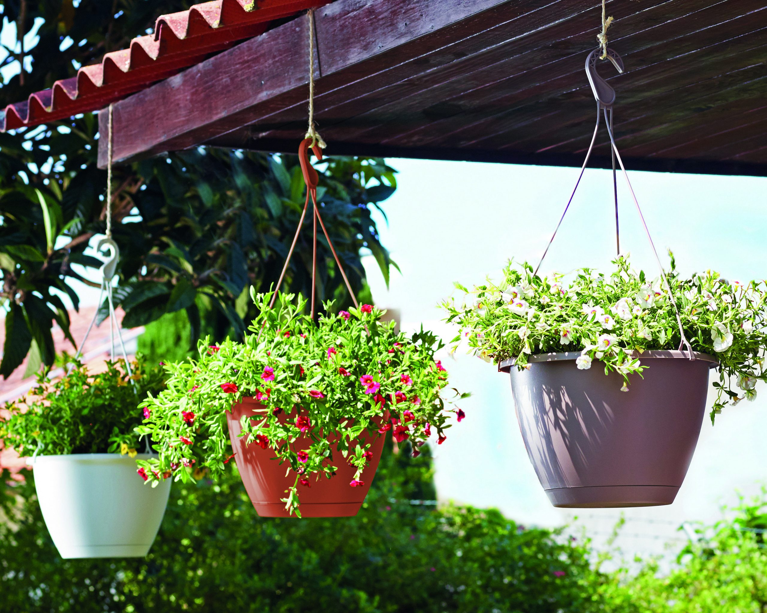 Système d'Auto-Arrosage Adaptable à Tout vos Pots & Plantes - Plantopia  Maroc