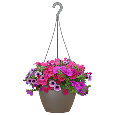 pot suspension maroc